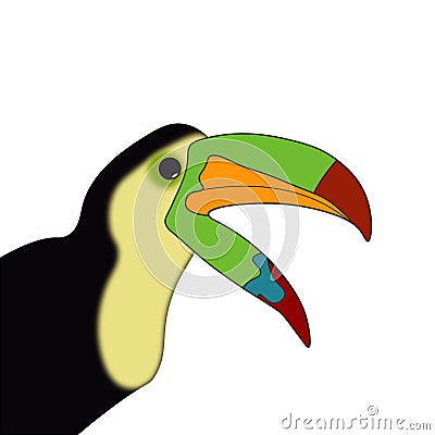 toucan bird cartoon Cartoon Illustration